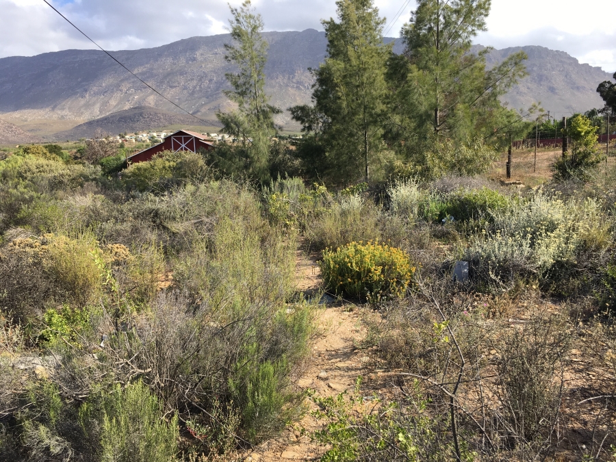 0 Bedroom Property for Sale in Barrydale Western Cape